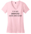 Crazy Grandmother Women's V-Neck T-Shirt