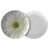 Daisy Spring 10” Dinner Plate