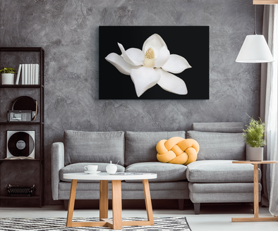 White Magnolia Canvas Wall Art
