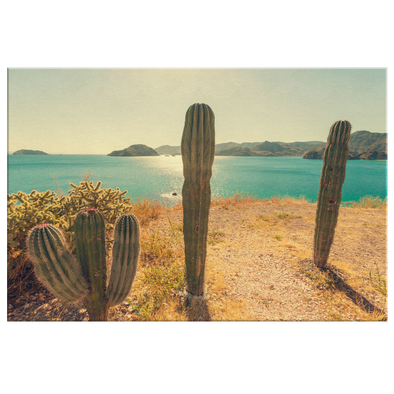 Baja California México Canvas Wall Art