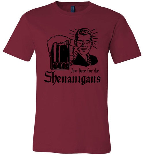 Just Here For The Shenanigans Adult & Youth T-Shirt