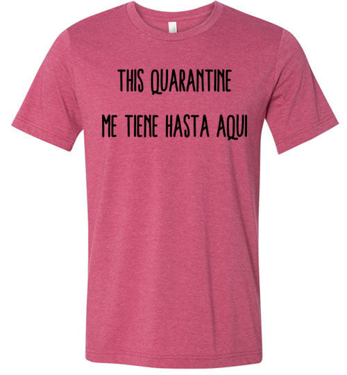 This Quarantine me tiene hasta Aquí­ Adult & Youth T-Shirt