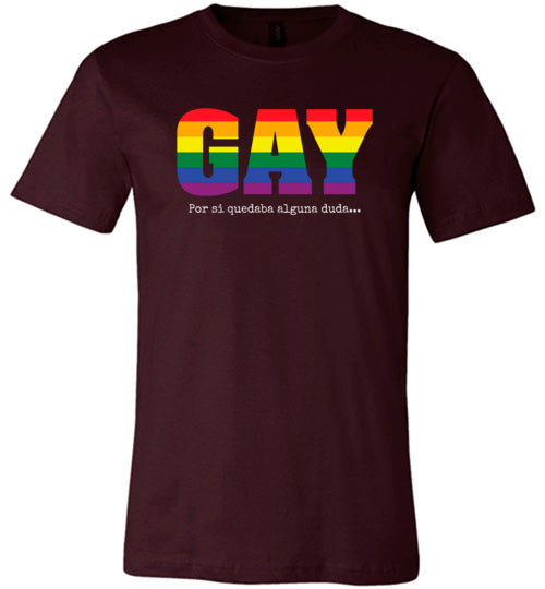 Gay, Por Si Quedaba Alguna Duda Adult & Youth T-Shirt