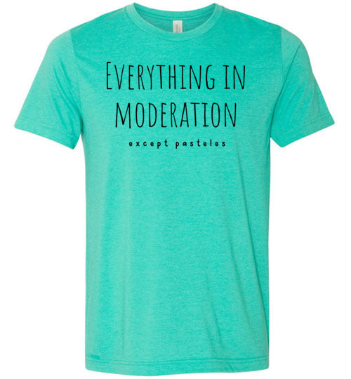 Everything in Moderation - Except Pasteles Adult & Youth T-Shirt