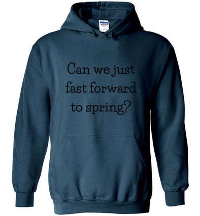 Can We Just Fast Forward to Spring Adult & Youth Hoodie