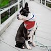 Cuba Pet Bandana