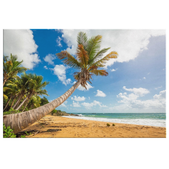 Flamenco Beach Palm Puerto Rico Canvas Wall Art