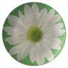 Daisy In Green Spring 10” Dinner Plate