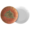 Grateful Pumpkin 10" Dinner Plate