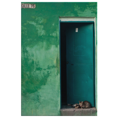 Doorway With Cat Cuba Canvas Wall Art