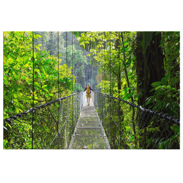 Monteverde Rainforest Bridge Costa Rica Canvas Wall Art