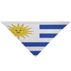 Uruguay Pet Bandana
