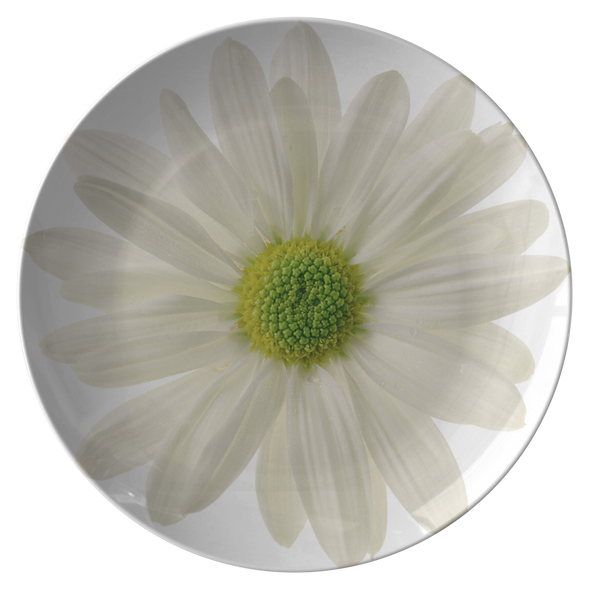 Daisy Spring 10” Dinner Plate