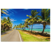 Road To San Anderes Colombia Canvas Wall Art