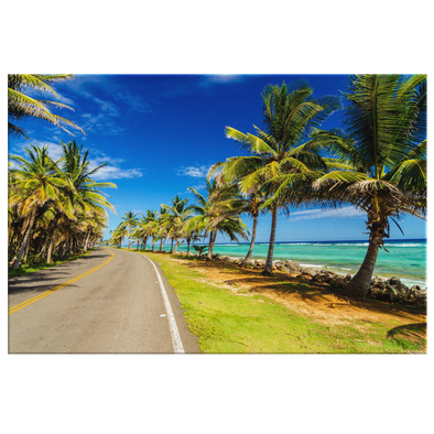 Road To San Anderes Colombia Canvas Wall Art
