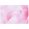 Spring Pink Rose Canvas Wall Art