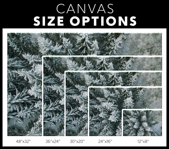 Snowy Pines Canvas Wall Art