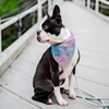 Pink & Blue Tie Dye Pet Bandana