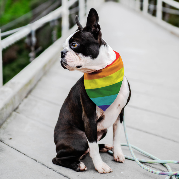 Gay Pride Flag Pet Bandana