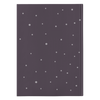 Winter Bear Journal