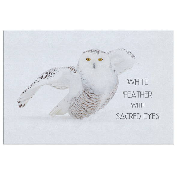 White Owl