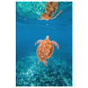 Graceful Sea Turtle Reflection Canvas Wall Art