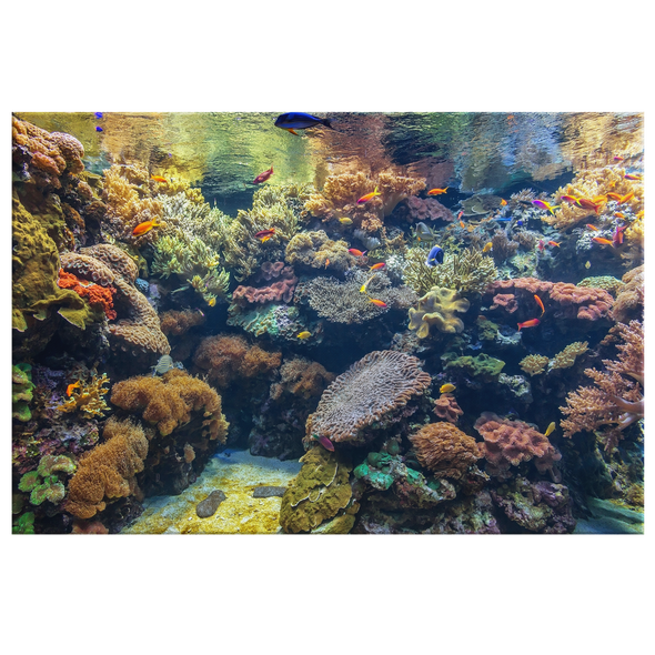 Relaxing Tropical Fish Aquarium Canvas Wall Art