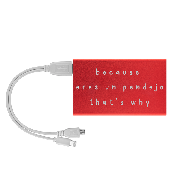 Because Eres Un Pendejo That's Why Power Bank