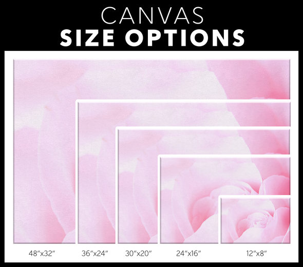 Spring Pink Rose Canvas Wall Art