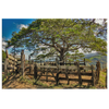 Costa Rica Countryside Canvas Wall Art