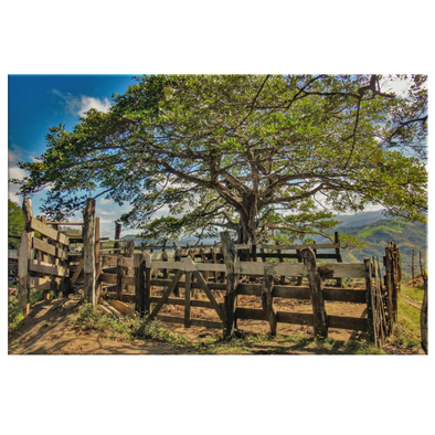 Costa Rica Countryside Canvas Wall Art