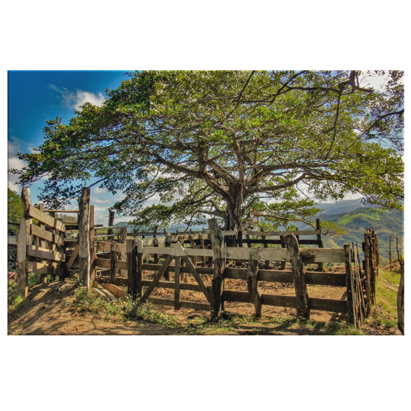 Costa Rica Countryside Canvas Wall Art