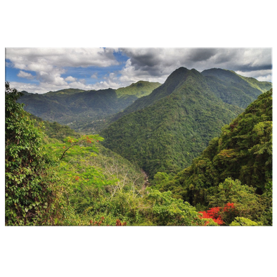 El Yunke Mountains Puerto Rico Canvas Wall Art