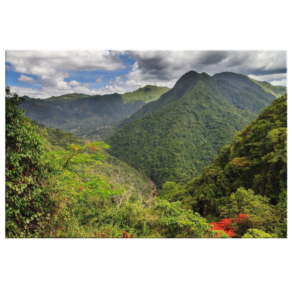 El Yunke Mountains Puerto Rico Canvas Wall Art