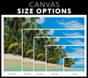 Cayo Zapatilla Bocas Del Toro Panama Canvas Wall Art
