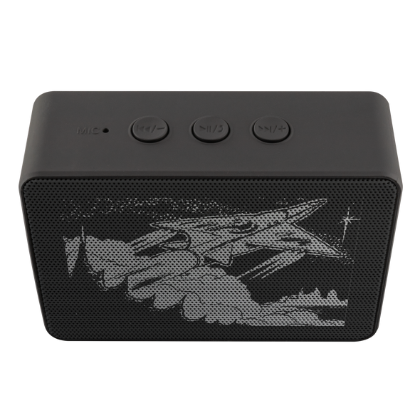Spaceships Are Meant To Fly Bluetooth Speaker
