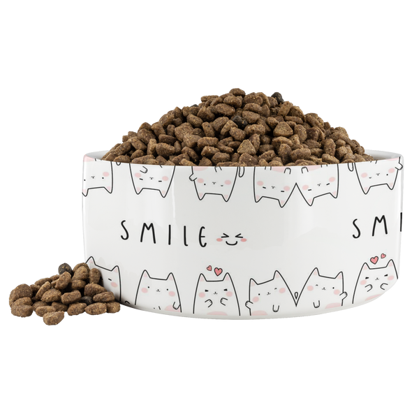Smile, It's Lunch Time Cats Pet Bowl