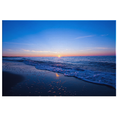 Delicate Sunset Canvas Wall Art