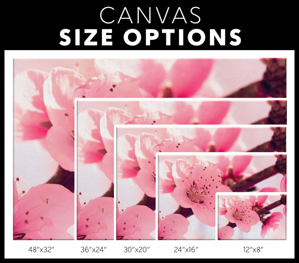 Pink Spring Cherry Blossom Canvas Wall Art