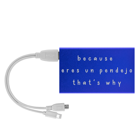 Because Eres Un Pendejo That's Why Power Bank